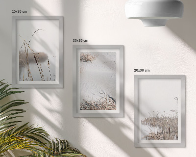 3-piece wall art set Aquatic vegetation delicate summer views