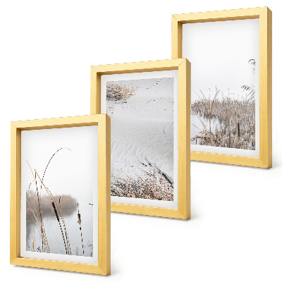 3-piece wall art set Aquatic vegetation delicate summer views