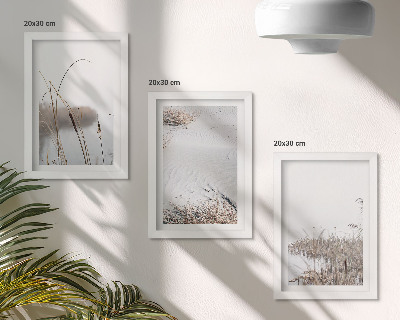3-piece wall art set Aquatic vegetation delicate summer views