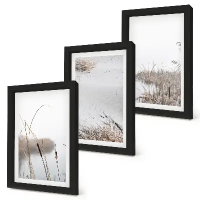 3-Piece Wall Art Set aquatic vegetation with delicate summer views