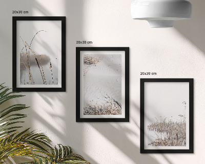 3-piece wall art set Aquatic vegetation delicate summer views