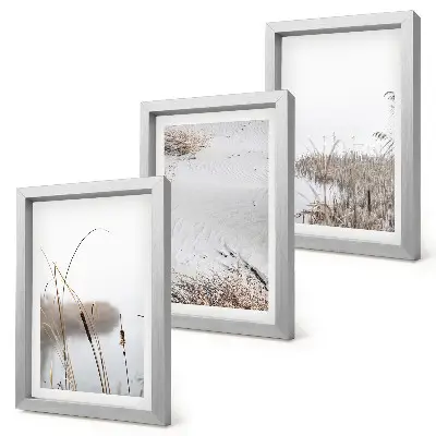 3-Piece Wall Art Set aquatic vegetation with delicate summer views