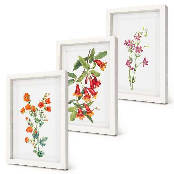 3-piece wall art set Vintage retro flower painting