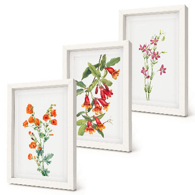 3-piece wall art set Vintage retro flower painting