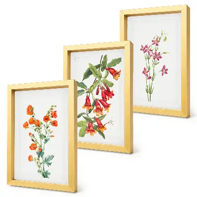 Vintage retro flower wall art 3-piece set
