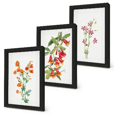 Vintage retro flower wall art 3-piece set