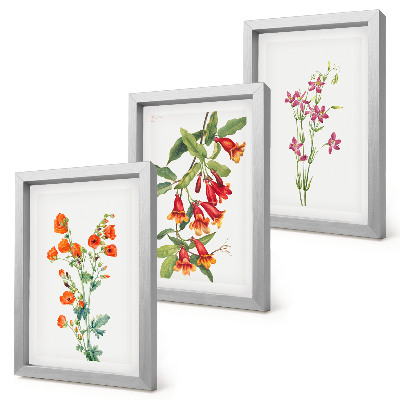 3-piece wall art set Vintage retro flower painting