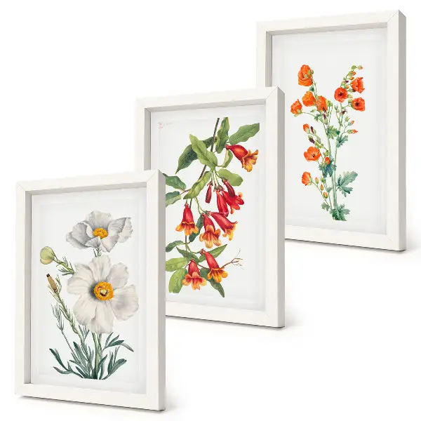 Photo frame wall floral compositions in a retro vintage painting style