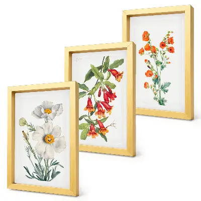 Photo frame wall floral compositions in a retro vintage painting style