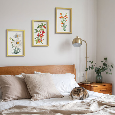 Photo frame wall Floral compositions retro vintage painting
