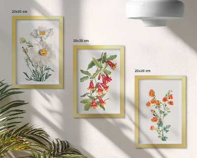 Photo frame wall Floral compositions retro vintage painting