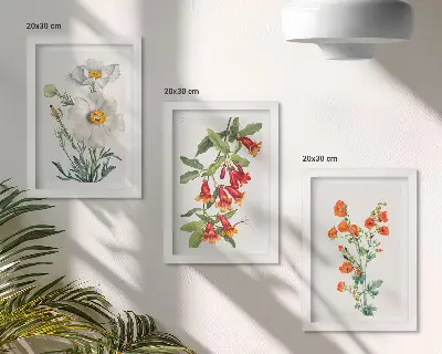 Photo frame wall floral compositions in a retro vintage painting style