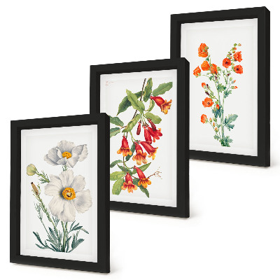 Photo frame wall Floral compositions retro vintage painting