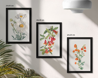 Photo frame wall Floral compositions retro vintage painting