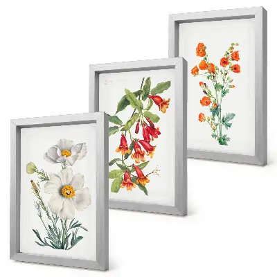Photo frame wall floral compositions in a retro vintage painting style