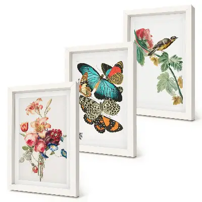 Flowers, butterflies and a bird triptych framed artwork in pastel shades