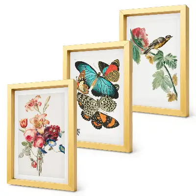 Flowers, butterflies and a bird triptych framed artwork in pastel shades