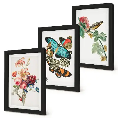 Flowers, butterflies and a bird triptych framed artwork in pastel shades