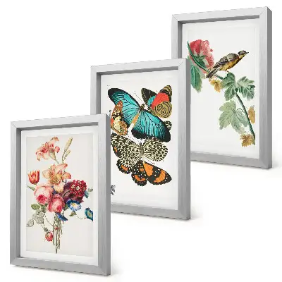 Flowers, butterflies and a bird triptych framed artwork in pastel shades
