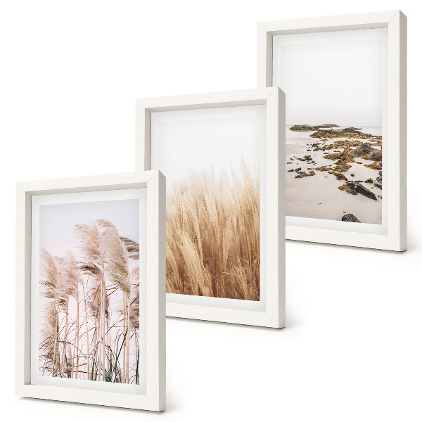 Photo frame wall Pampas grass fields and a boho beach