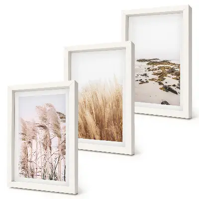 Photo frame wall set with pampas grass fields and a boho beach theme