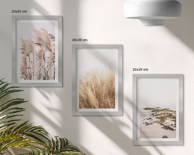 Photo frame wall Pampas grass fields and a boho beach