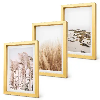 Photo frame wall set with pampas grass fields and a boho beach theme