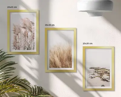 Photo frame wall set with pampas grass fields and a boho beach theme