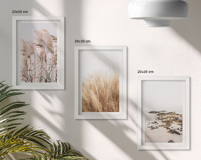 Photo frame wall Pampas grass fields and a boho beach