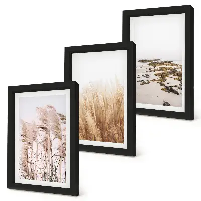 Photo frame wall set with pampas grass fields and a boho beach theme