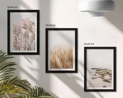 Photo frame wall set with pampas grass fields and a boho beach theme