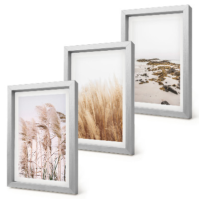 Photo frame wall Pampas grass fields and a boho beach