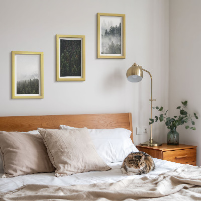 Photo frame wall Green forests in a misty natural setting