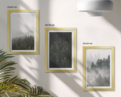 Photo frame wall Green forests in a misty natural setting