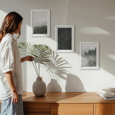 Photo frame wall Green forests in a misty natural setting