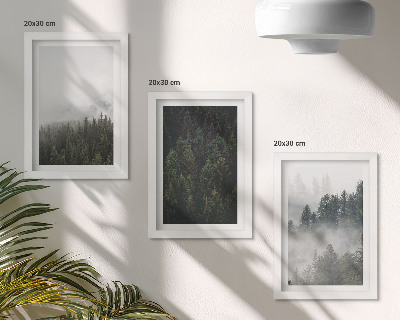 Photo frame wall Green forests in a misty natural setting