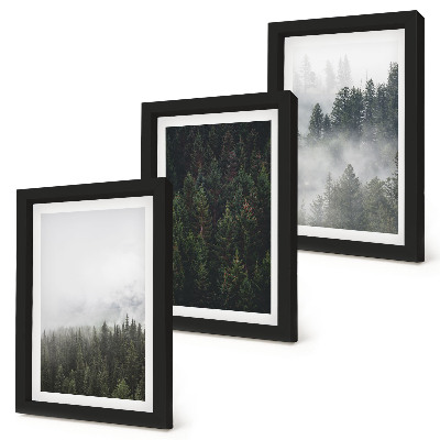 Photo frame wall Green forests in a misty natural setting