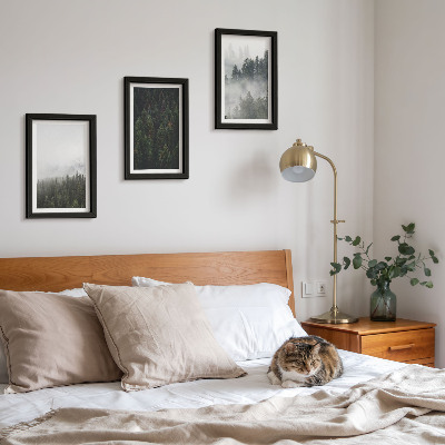Photo frame wall Green forests in a misty natural setting