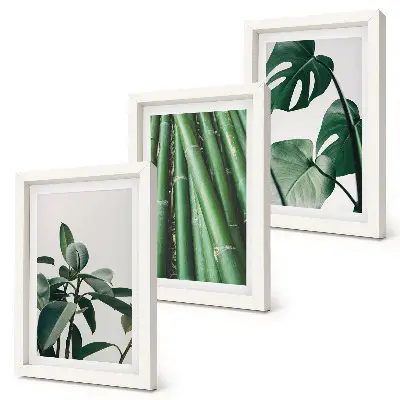 3-Piece wall art set bamboo stems and monstera leaves