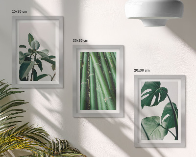 3-piece wall art set Bamboo stems houseplant and monstera leaves