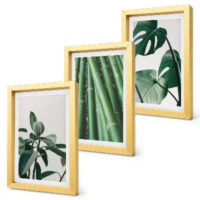 3-Piece wall art set bamboo stems and monstera leaves