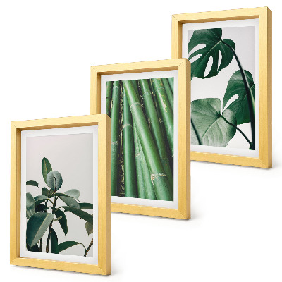 3-piece wall art set Bamboo stems houseplant and monstera leaves
