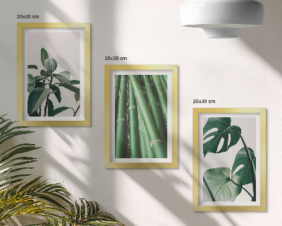 3-piece wall art set Bamboo stems houseplant and monstera leaves