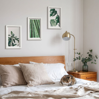 3-piece wall art set Bamboo stems houseplant and monstera leaves