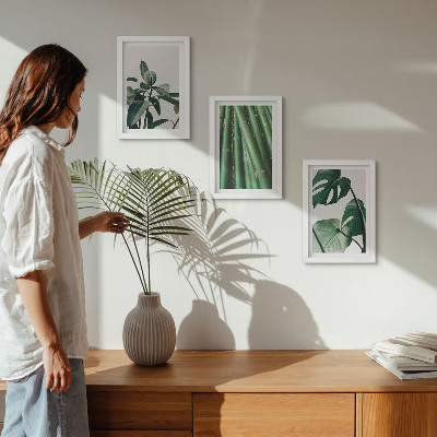 3-piece wall art set Bamboo stems houseplant and monstera leaves