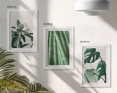 3-Piece wall art set bamboo stems and monstera leaves