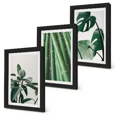 3-Piece wall art set bamboo stems and monstera leaves