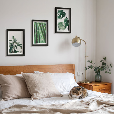 3-piece wall art set Bamboo stems houseplant and monstera leaves