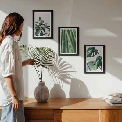 3-piece wall art set Bamboo stems houseplant and monstera leaves