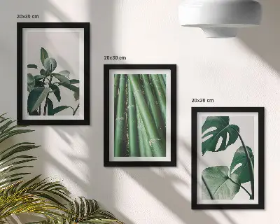 3-Piece wall art set bamboo stems and monstera leaves
